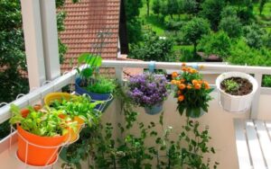 quelles plantes pour balcon plein sud