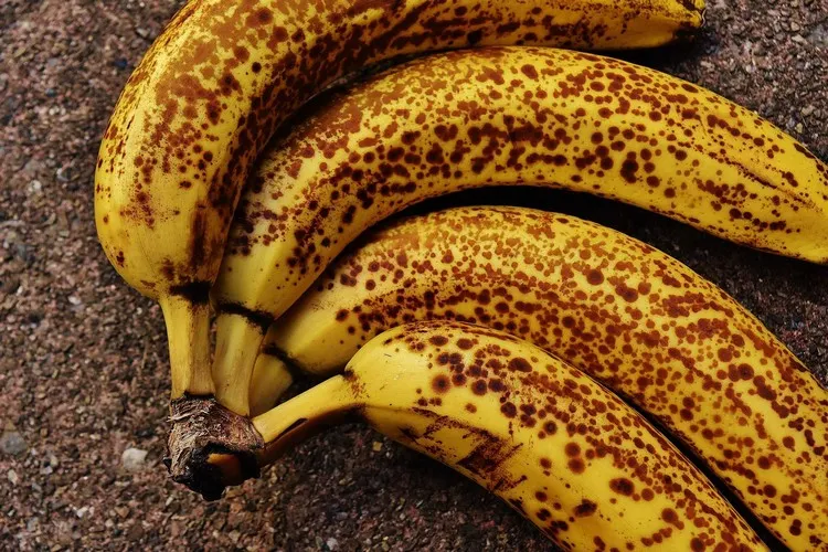 quoi faire avec des bananes trop mures recettes originales faciles rapides éviter le gaspillage alimentaire