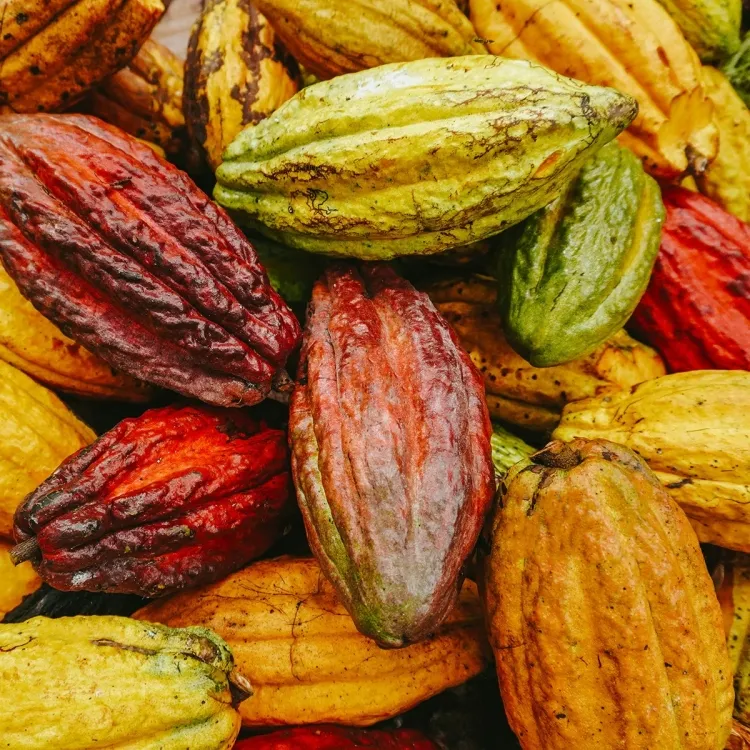 recette boisson été eau de cacao produire geste écologique upcycling déchets chocolaterie