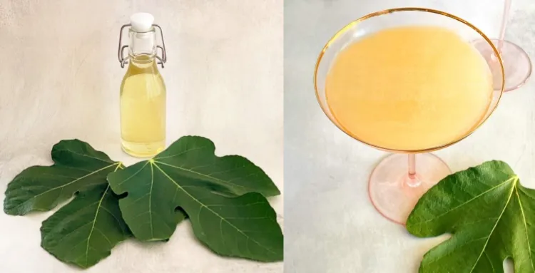 recettes avec feuilles figuier sirop cocktails été punch idée originale