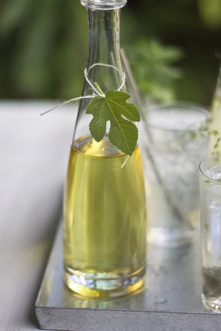 recipes fig leaf syrup cocktails summer punch sparkling water