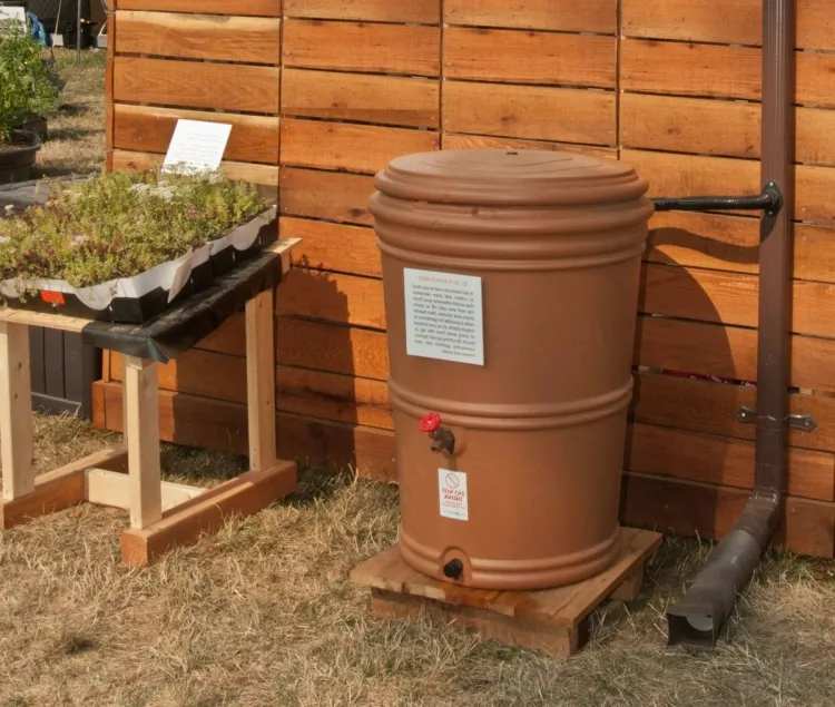 récupérateur eau de pluie préserver murs allées destruction perméabilité sol