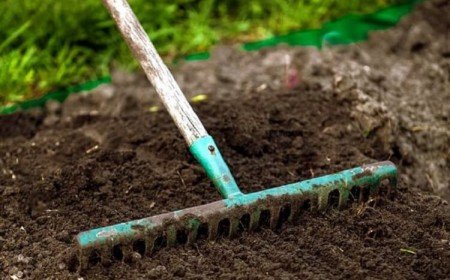 semer gazon sans rouleau comment faire nouvelle pelouse regarnir ratissage