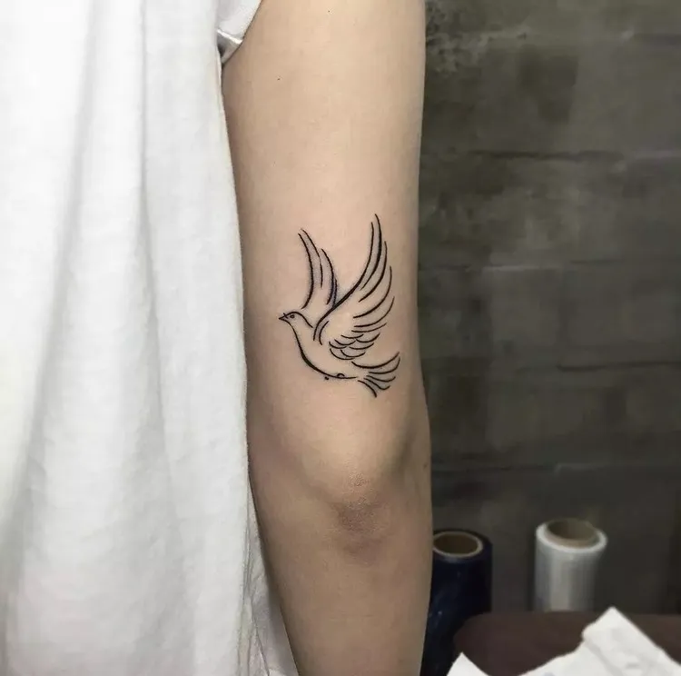 tatouage colombe homme tattoo arrière avant bras