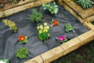 utilisation toile géotextile au jardin