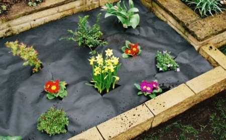 utilisation toile géotextile au jardin