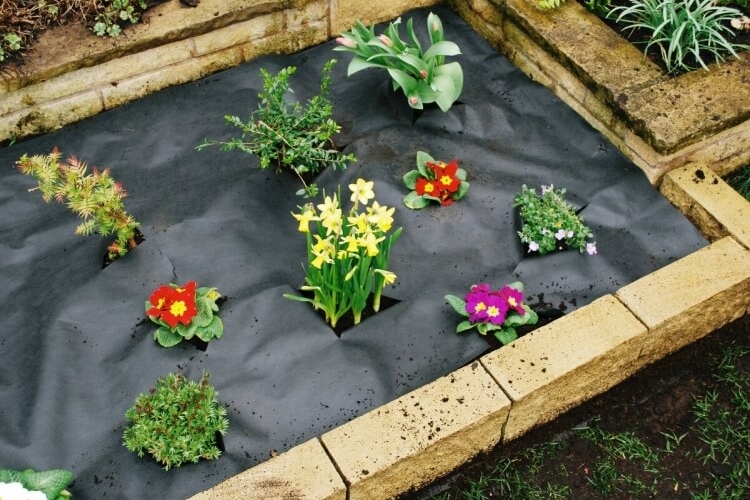utilisation toile géotextile au jardin