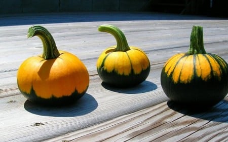 Comment savoir si une courge est mûre