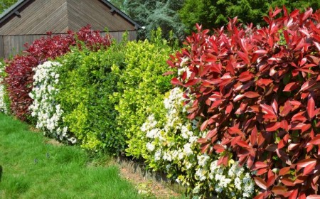 brise vue champêtre tendance jardin 2022