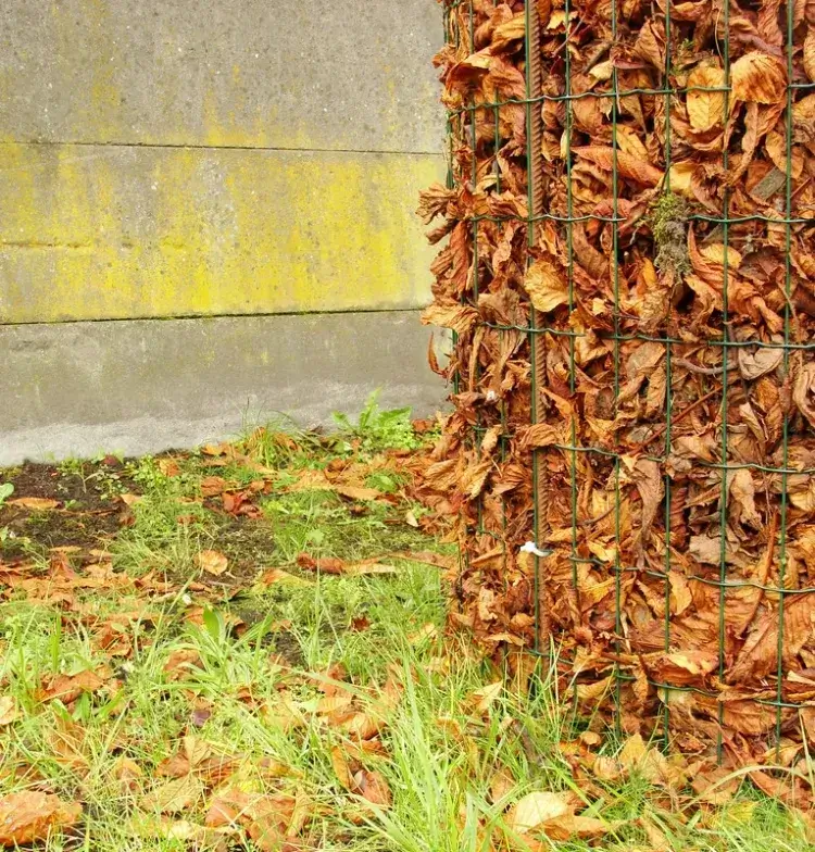 brûler des feuilles mortes dans un poêle à pellet haute densité gain place effet combustion propreté