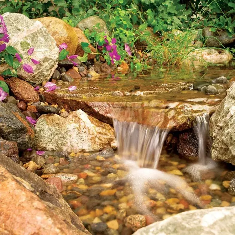 comment aménager un ruisseau planter paysage environnant donner aspect naturel