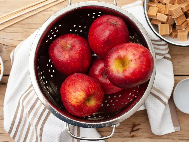 comment conserver les pommes gardent saveur fraîchement cueillie long terme