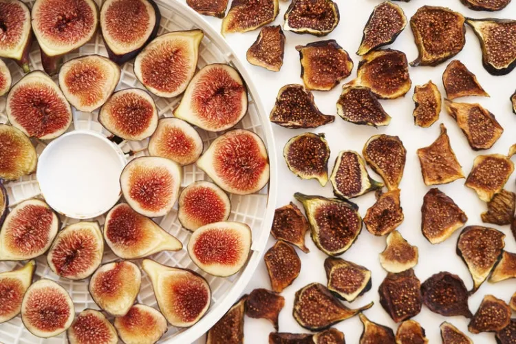 how to dehydrate fresh figs dehydrator