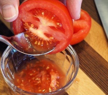 comment recuperer les graines de tomates pour semis