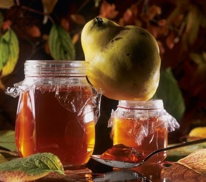 confiture de coing sans sucre