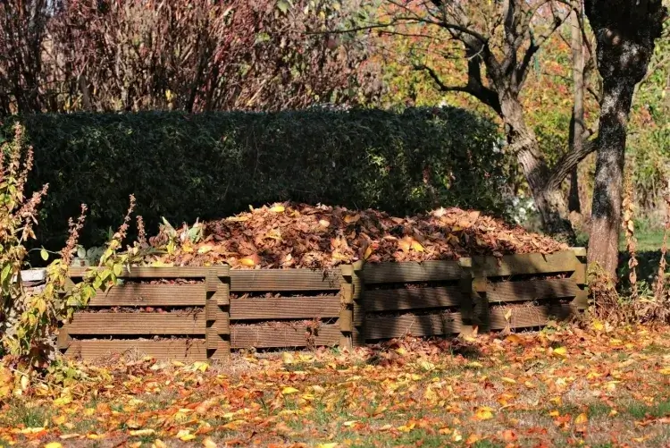 consommation poêle à pellets stocker feuilles mortes composteur assurer humidité adéquate
