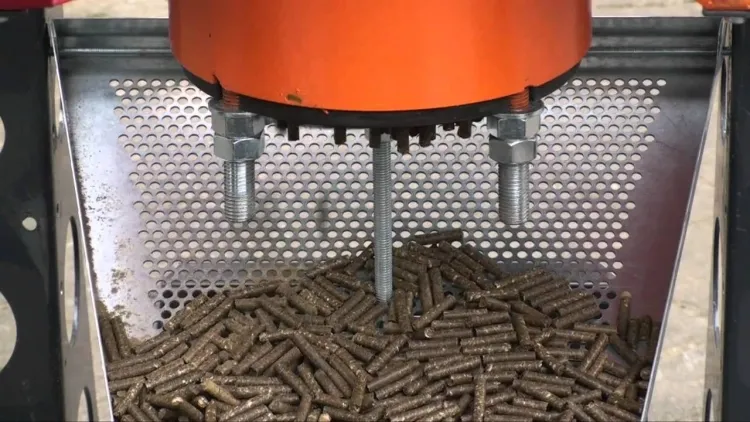 fabrication des pellets deux types moulin granules bois filière annulaire filière plate