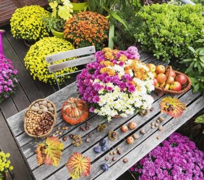 fleurs d'automne pour balcon de couleurs différentes