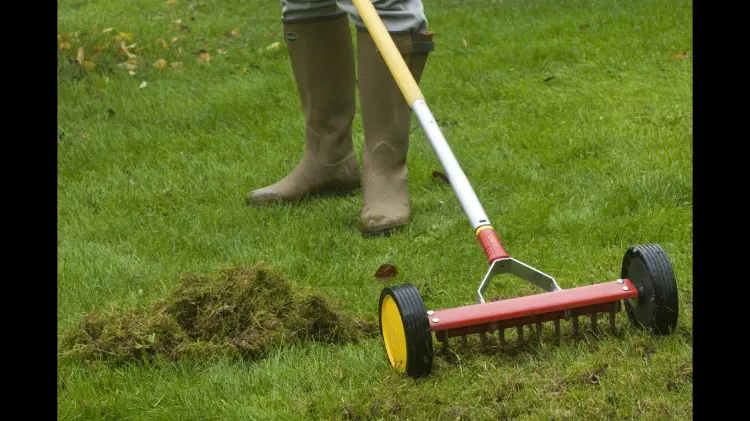 le pourquoi du comment de la scarification de la pelouse 2022