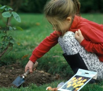que faire au jardin en automne apprendre enfant estimer chaque saison