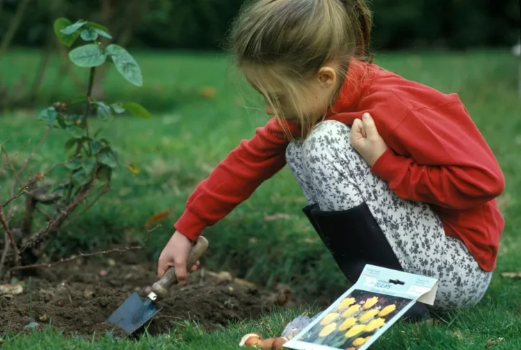que faire au jardin en automne apprendre enfant estimer chaque saison