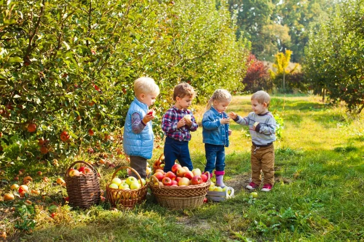 que faire au jardin en automne sensibiliser enfant travail recherche respect environnement