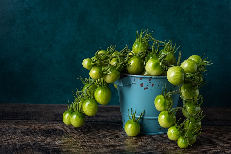 que faire avec des tomates vertes pas mûres