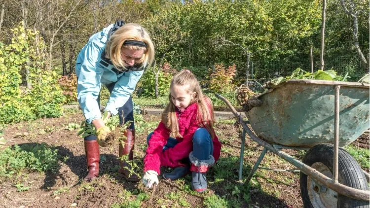 que faire en automne au jardin avec son enfant travail physique moyen développer force motrice stratégie responsabiliser