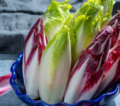 recette avec endives crues