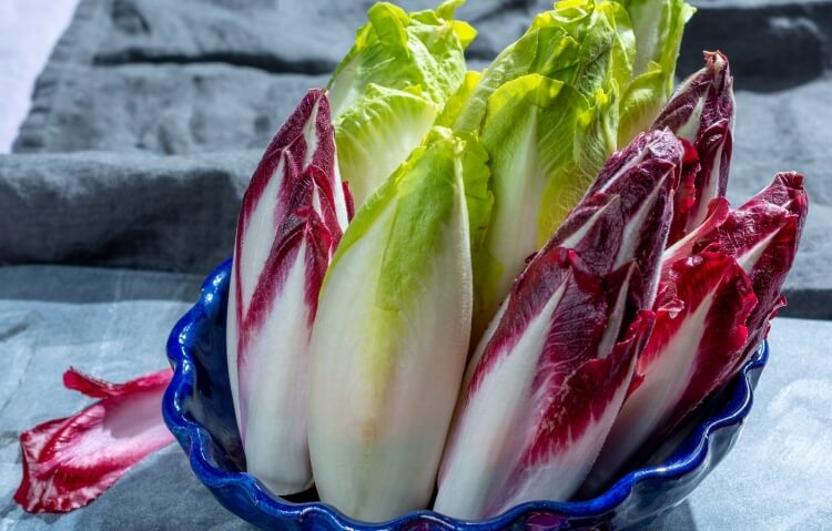 recette avec endives crues