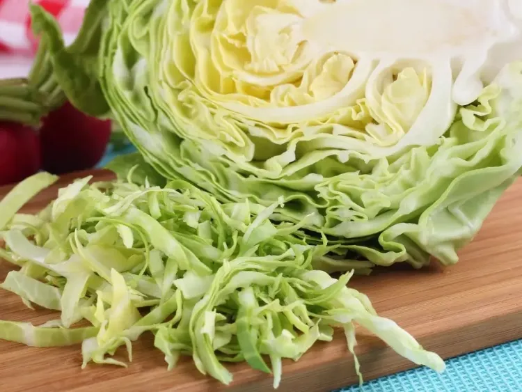 Cabbage soup recipe