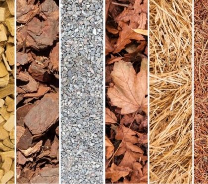 types de paillage qu'on peut utiliser en automne