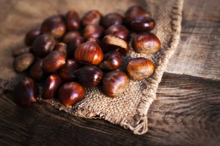 5 ways to easily prepare chestnuts 2022 