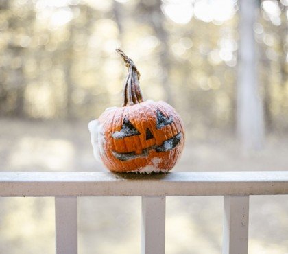 Comment faire pour que ma citrouille d'Halloween ne pourrisse pas