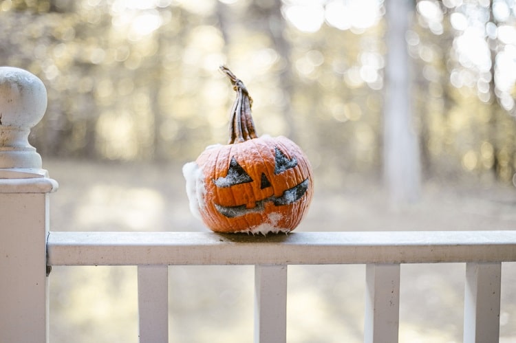 Comment faire pour que ma citrouille d'Halloween ne pourrisse pas