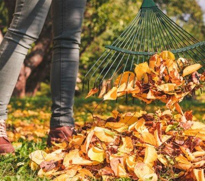 Quelles feuilles ne pas jeter au compost 2022