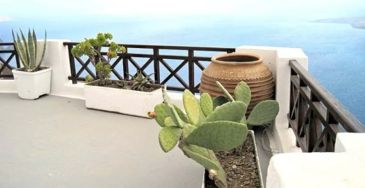 astuce conseil protéger les plantes sur le balcon du vent gel froid hiver pluie soleil
