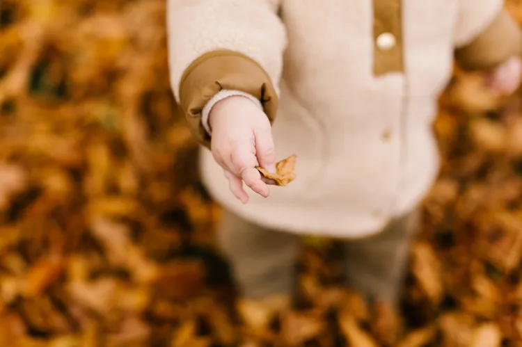 bricolage automne avec des feuilles arbre adapté enfants école maternelle