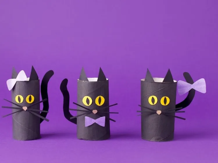 chats noir halloween rouleaux 2022