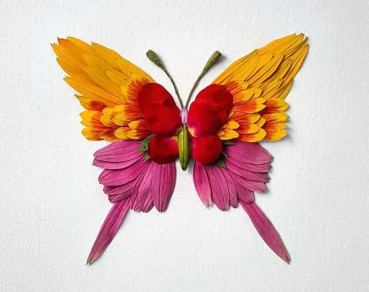 comment fabriquer animaux feuilles fleurs bricolage facile adultes papillon