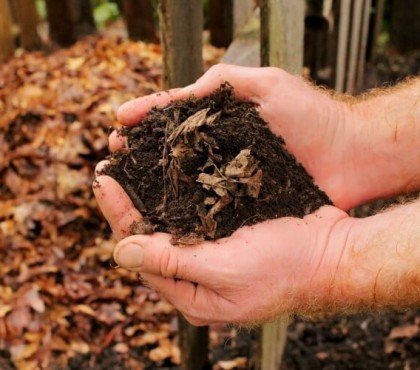 comment faire du terreau supplément pelouses faire recours compost paillis concoctés feuilles mortes