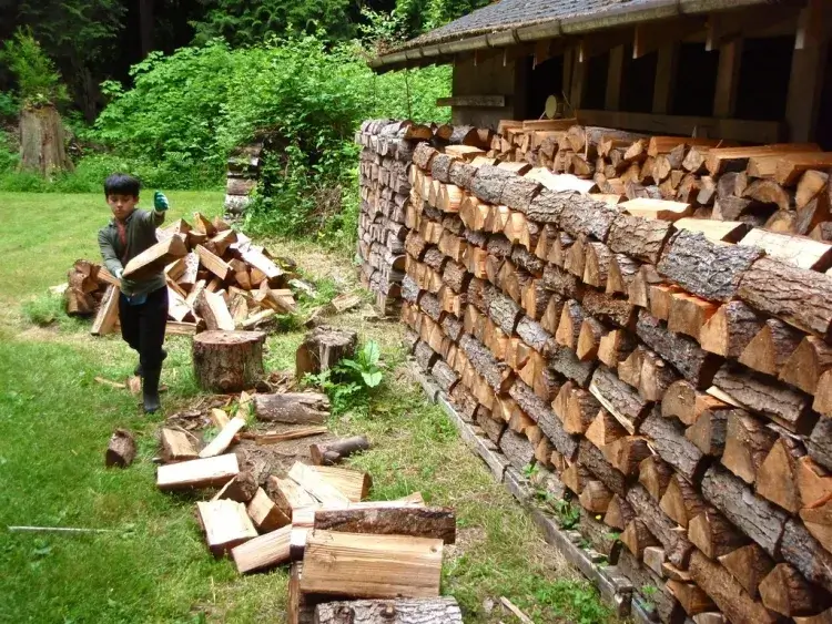 comment stocker du bois fraîchement coupé