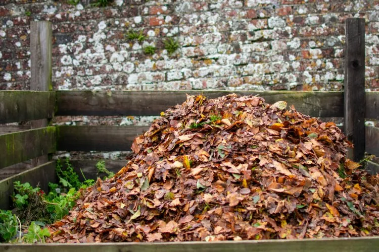 comment transformer les feuilles mortes en engrais