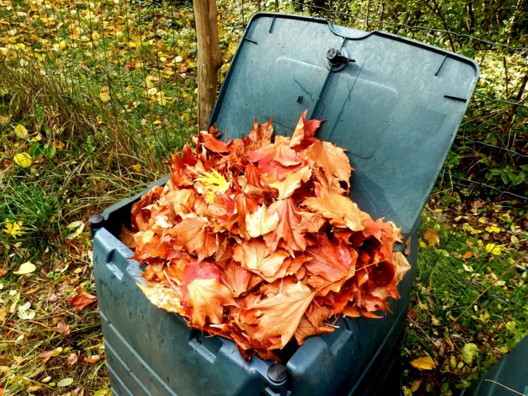 composte vert des feuilles mortes dans le jardin fait maison automne