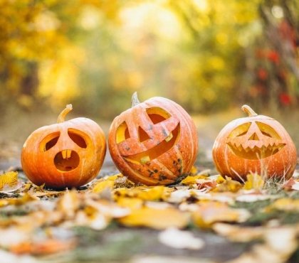 conseils idées déco Halloween extérieur 2022