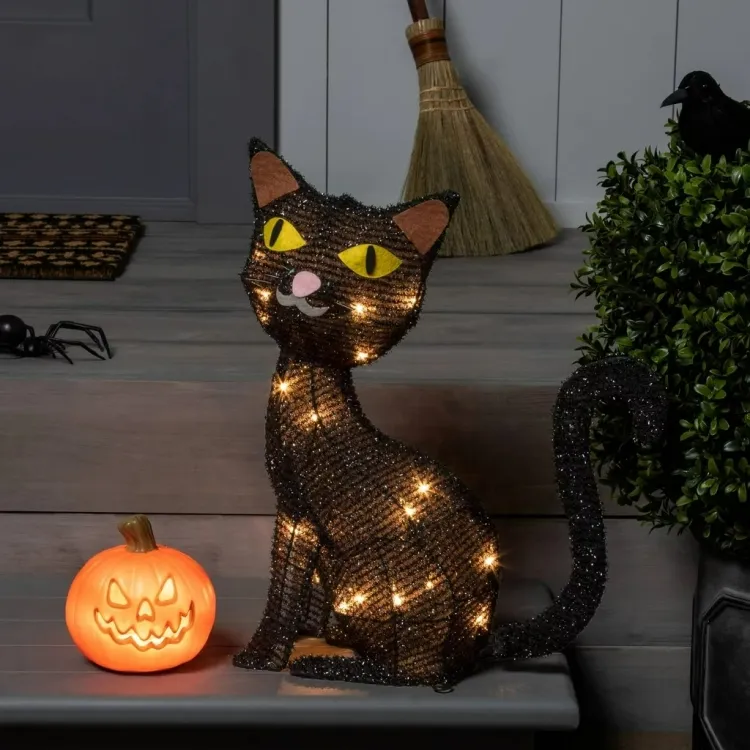 décoration Halloween 2022 éclairage chat noir citrouille araignée rampante