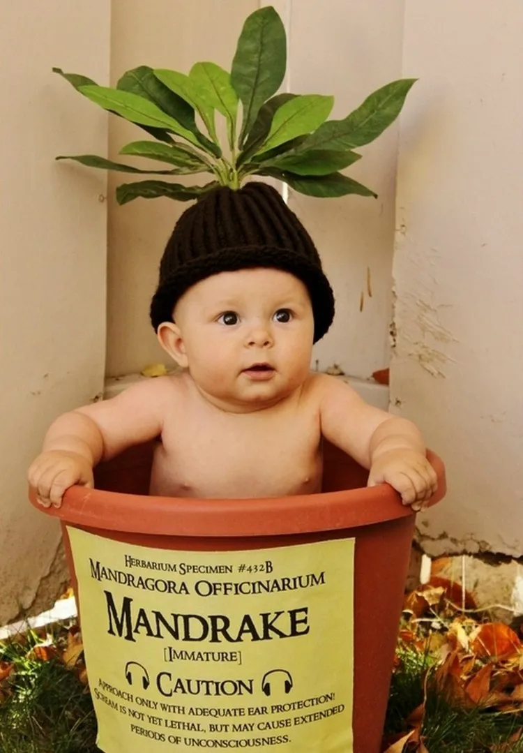 déguisement Halloween enfants costume bébé inspiré par Harry Potter