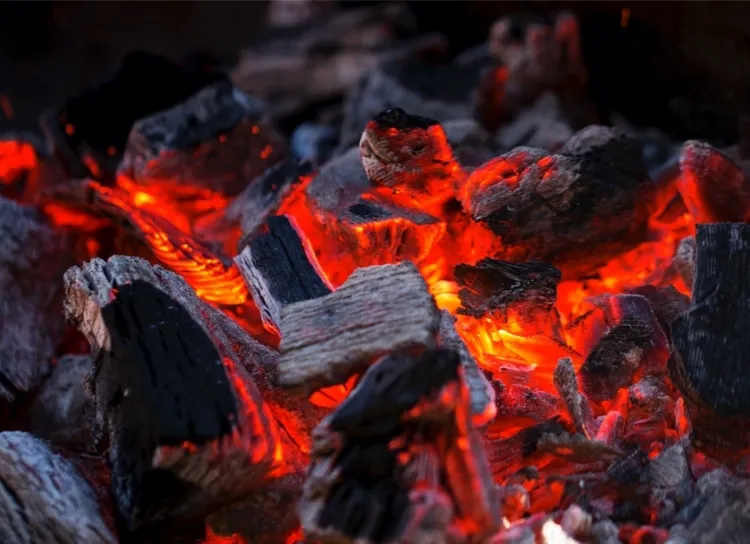 est-ce que on peut mettre charbon dans poêle à bois
