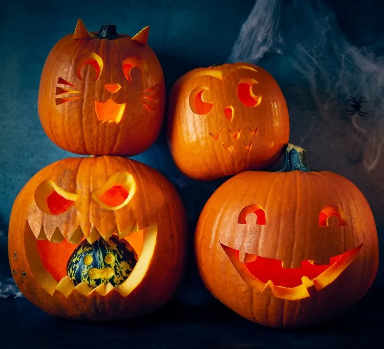 idée citrouille halloween effrayante amusante et façon chat