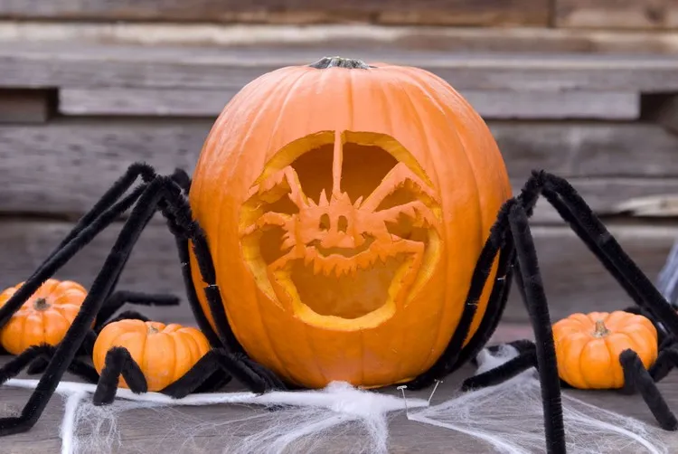 idée découpe citrouille halloween façon araignée